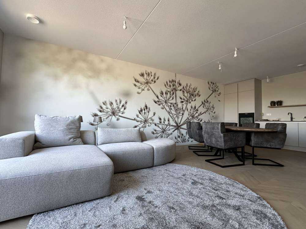 Cerfeuil sauvage en gros plan