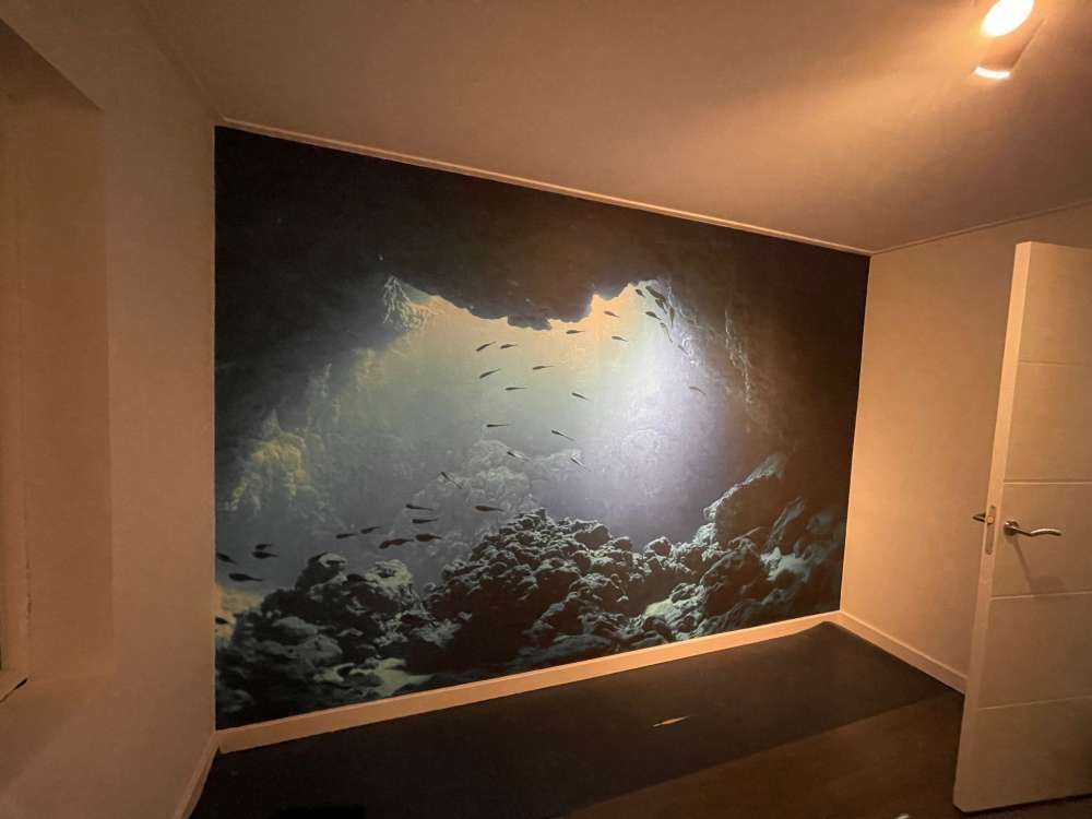 Grotte sous-marine avec des poissons