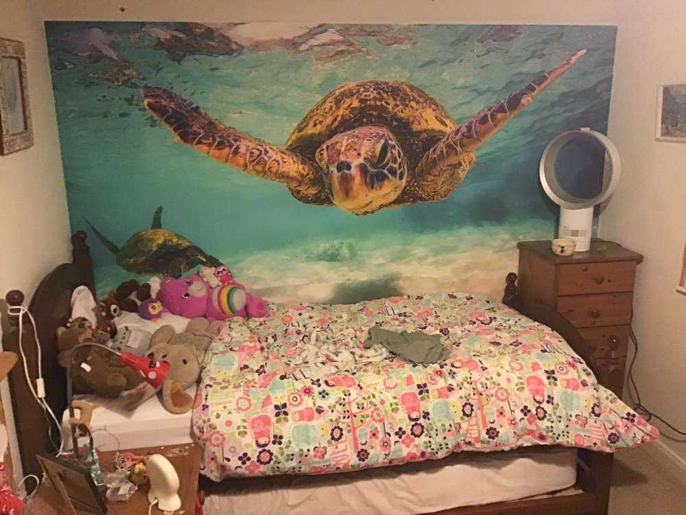 Tortue de mer dans l'océan