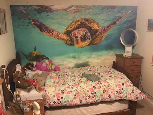 Tortue de mer dans l'océan