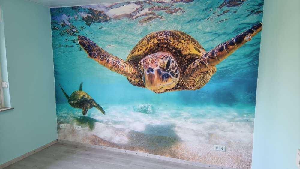 Tortue de mer dans l'océan
