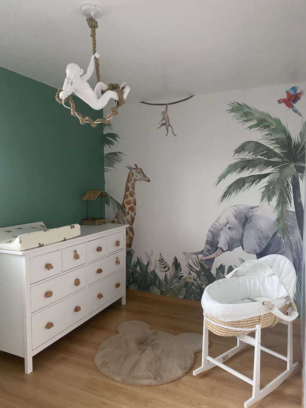 Animaux de la jungle coloré