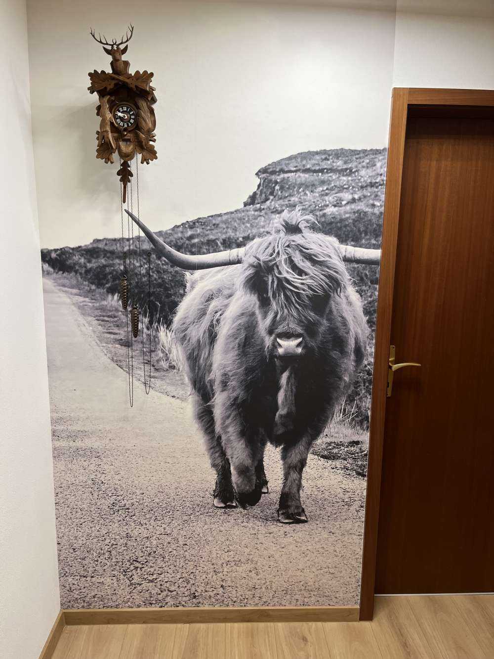 Le Highland écossais sur la route