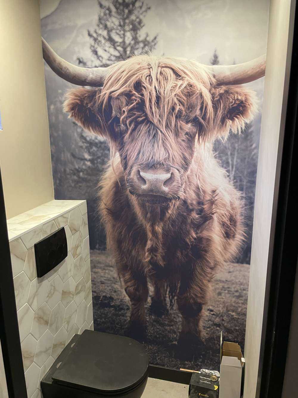 Le Highland écossais au bord de la forêt