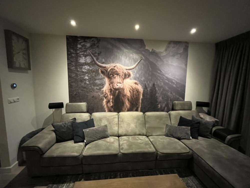 Le Highland écossais au bord de la forêt