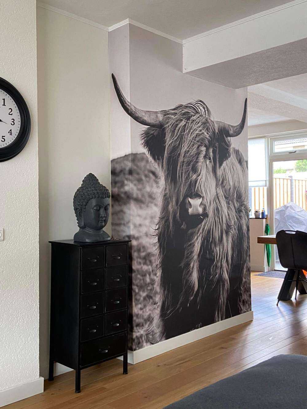 Le Highland écossais en noir et blanc