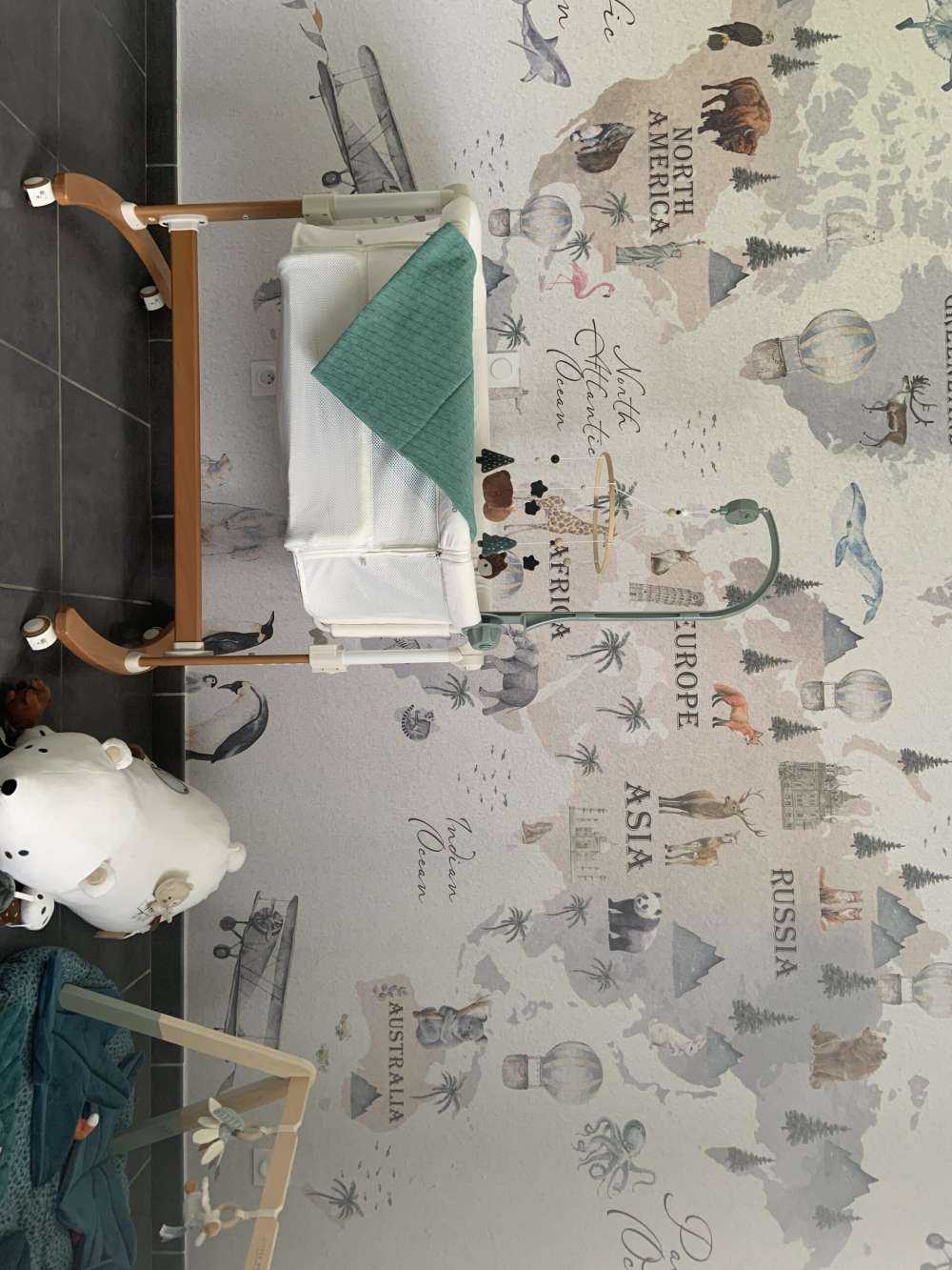 Carte du monde avec différents animaux