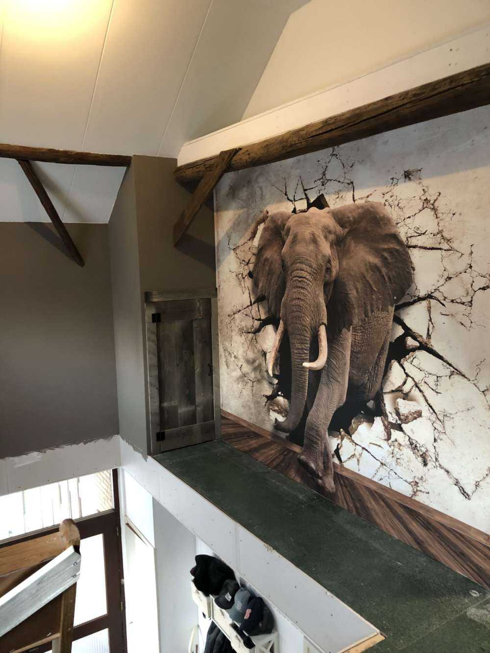 Grand éléphant hors du mur