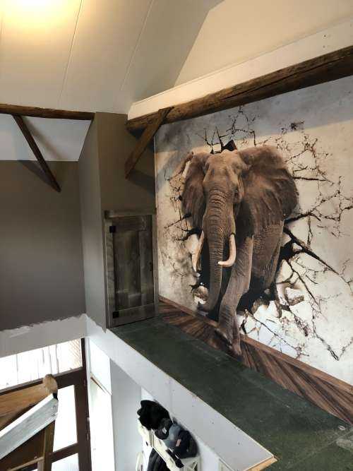 Grand éléphant hors du mur