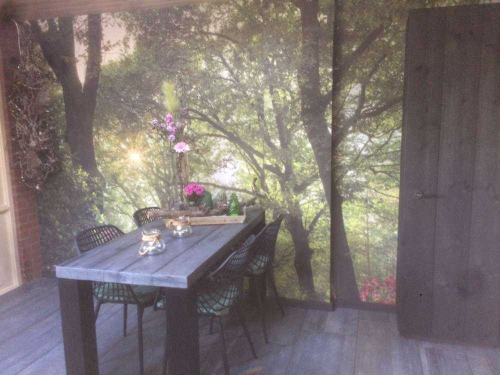 Lever de soleil sur le chemin avec des rhododendrons