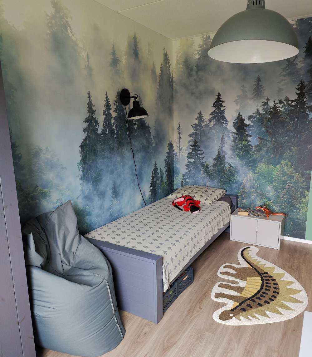 Paysage brumeux avec des arbres verts