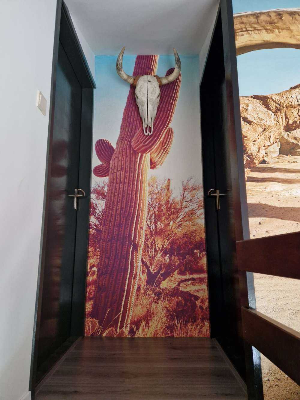 Cactus dans le désert