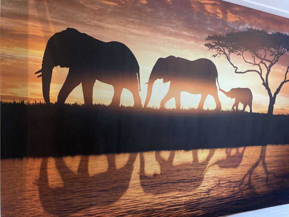 Les éléphants dans la savane