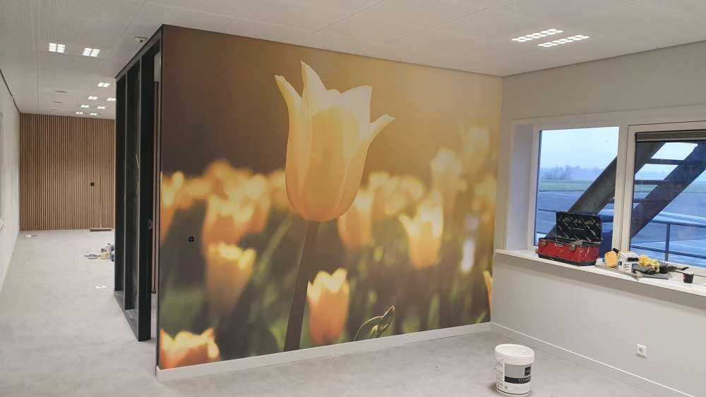 Gros plan sur la tulipe jaune