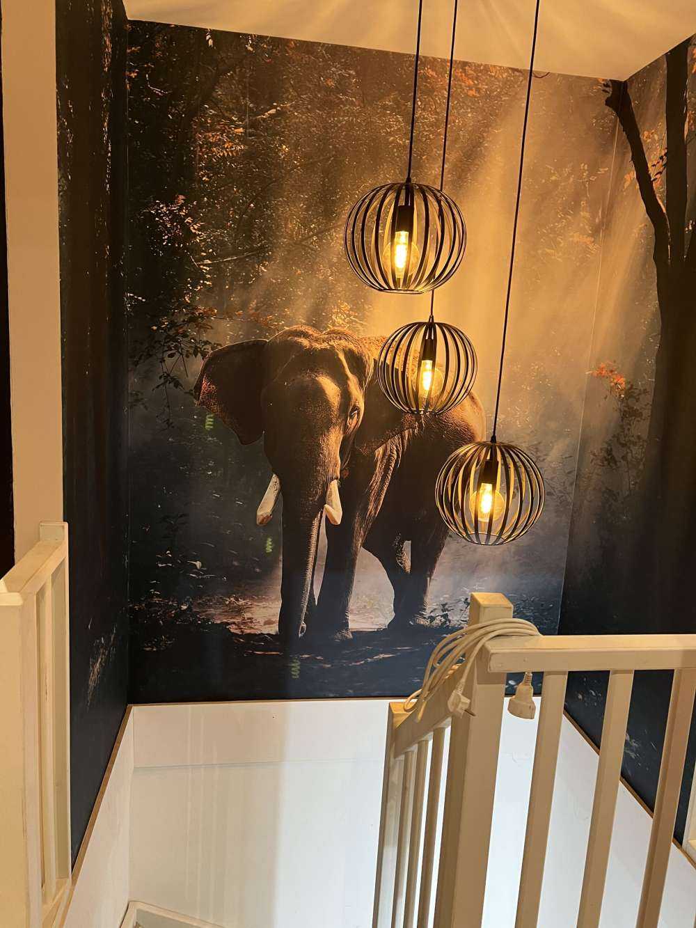 Éléphant dans une jungle