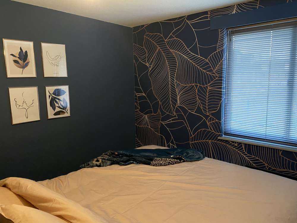 Feuilles de bananier bleues