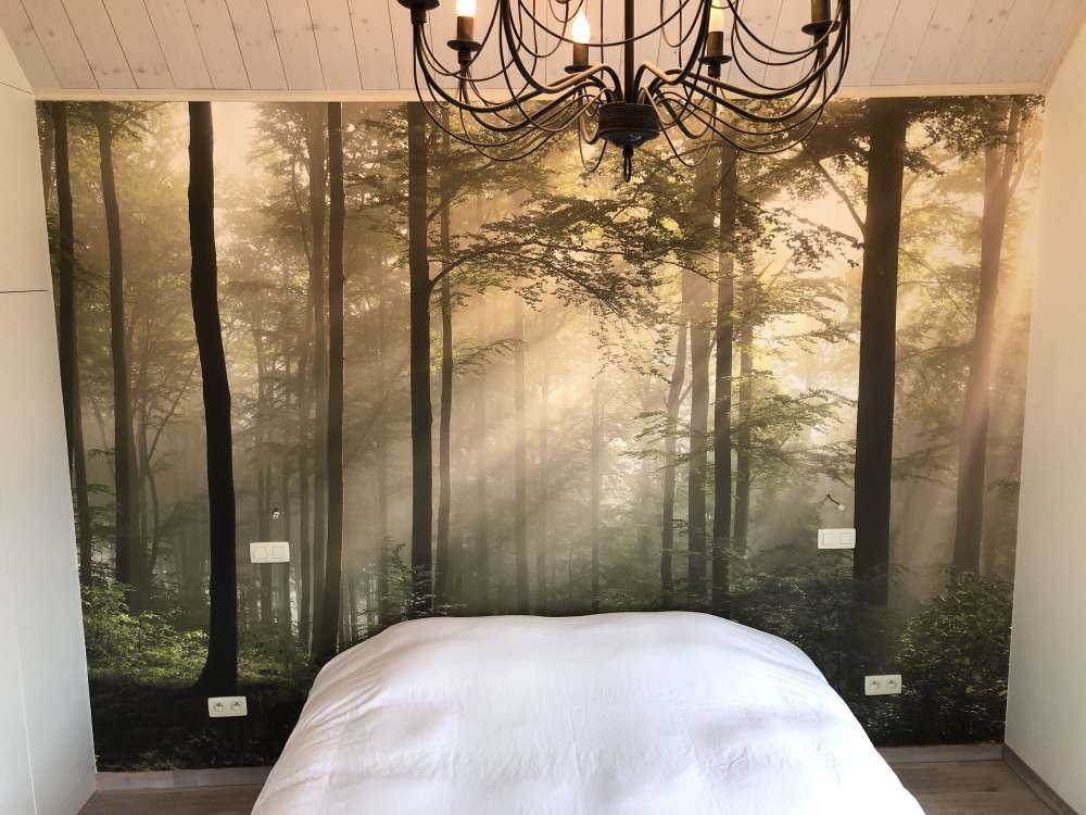 La forêt verte dans le brouillard