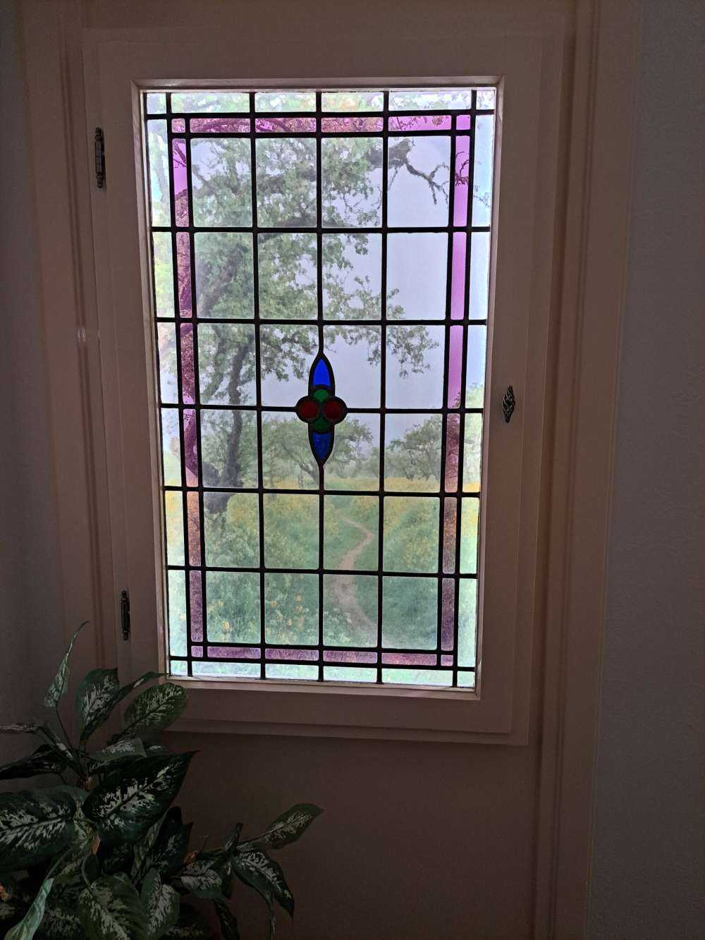 Promenade au millieu de fleurs jaunes