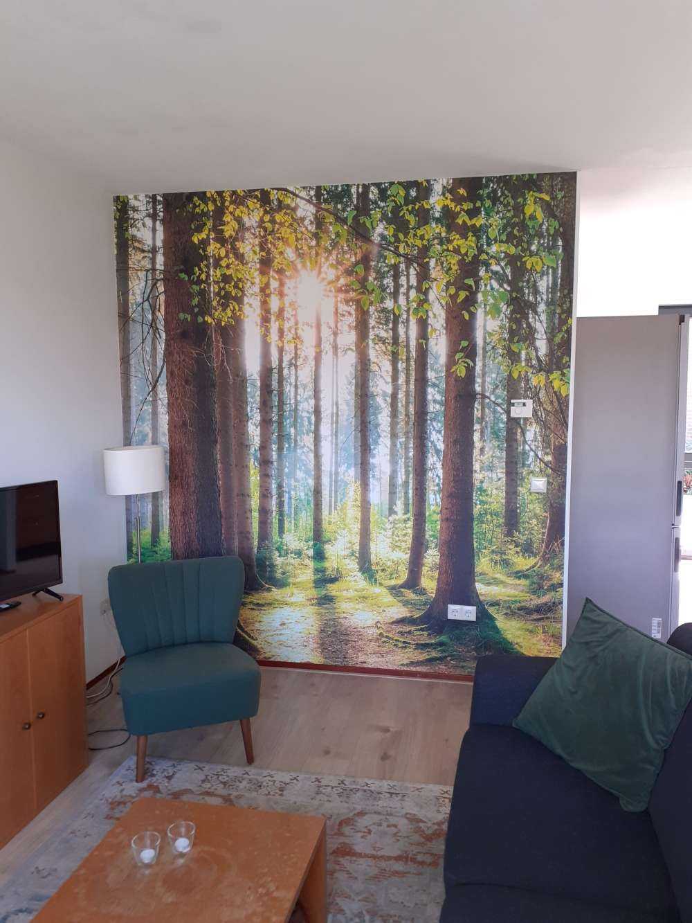 Lever de soleil dans la forêt
