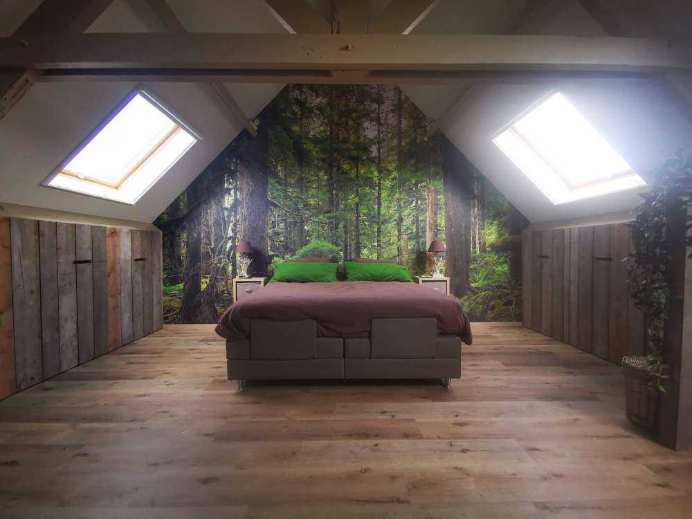 Forêt verte sauvage