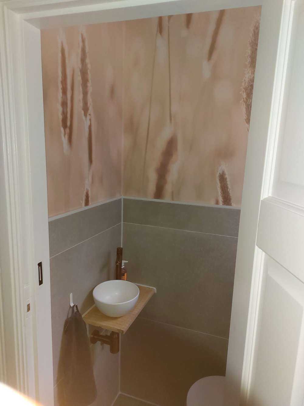 Lumière du soleil à travers la prairie