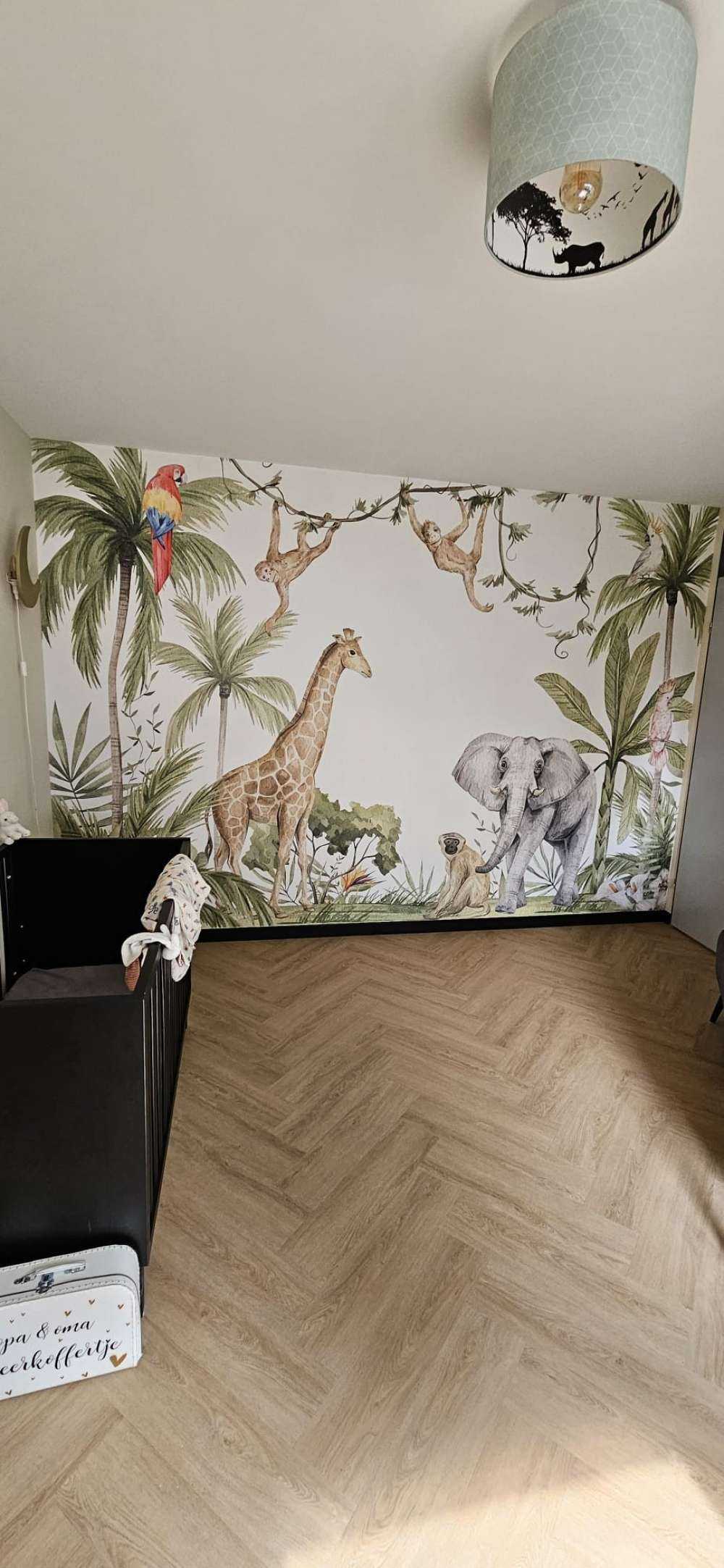 Animaux africains dans la jungle