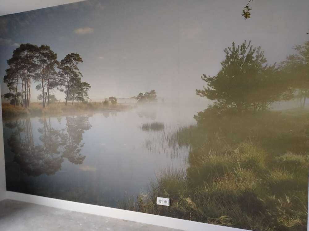 Réflexion dans la lande