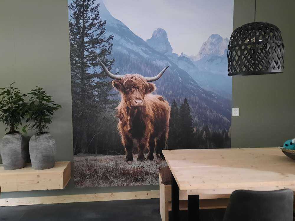 Un Highland écossais parmi les arbres