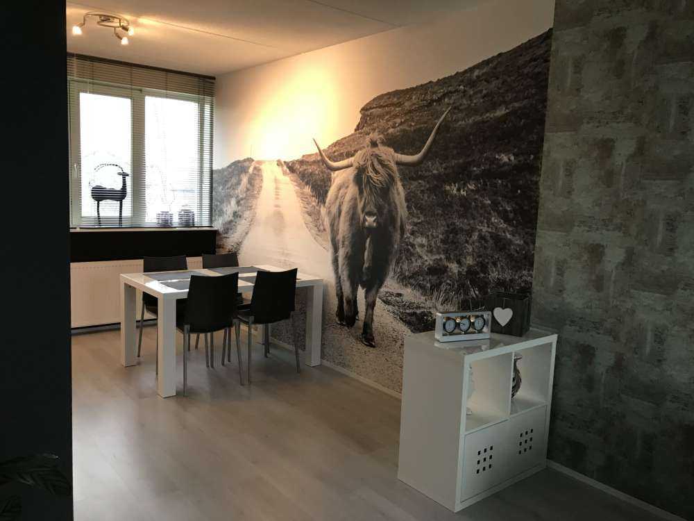 Le Highland écossais sur la route