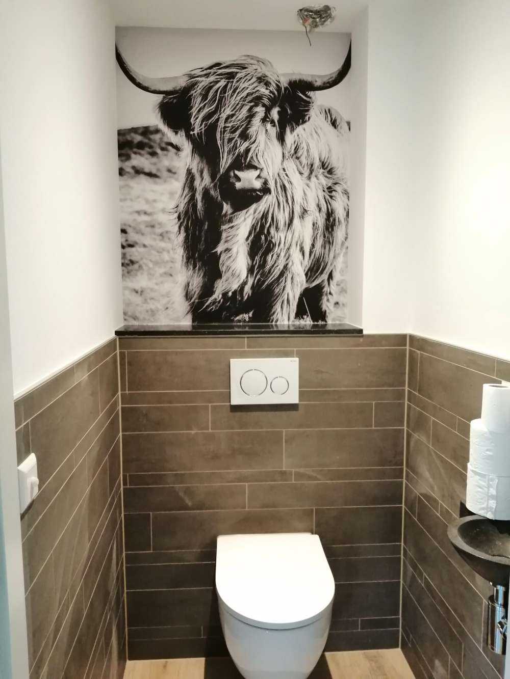 Le Highland écossais en noir et blanc