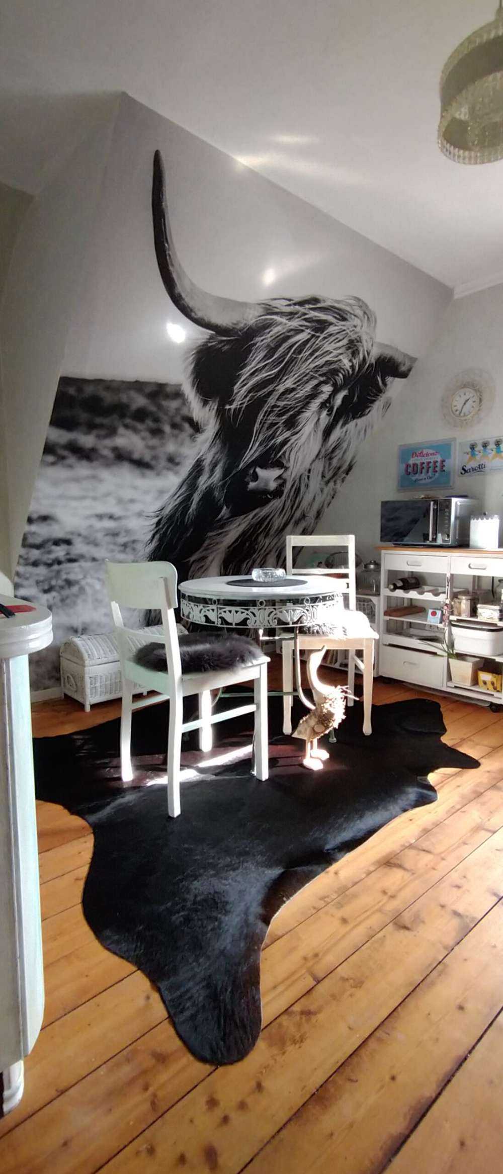 Le Highland écossais en noir et blanc