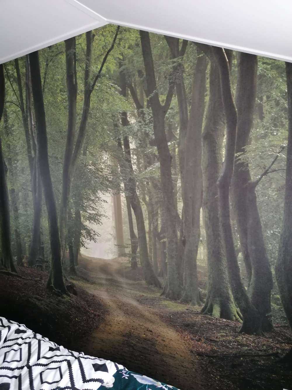 Sentier de sable dans la forêt