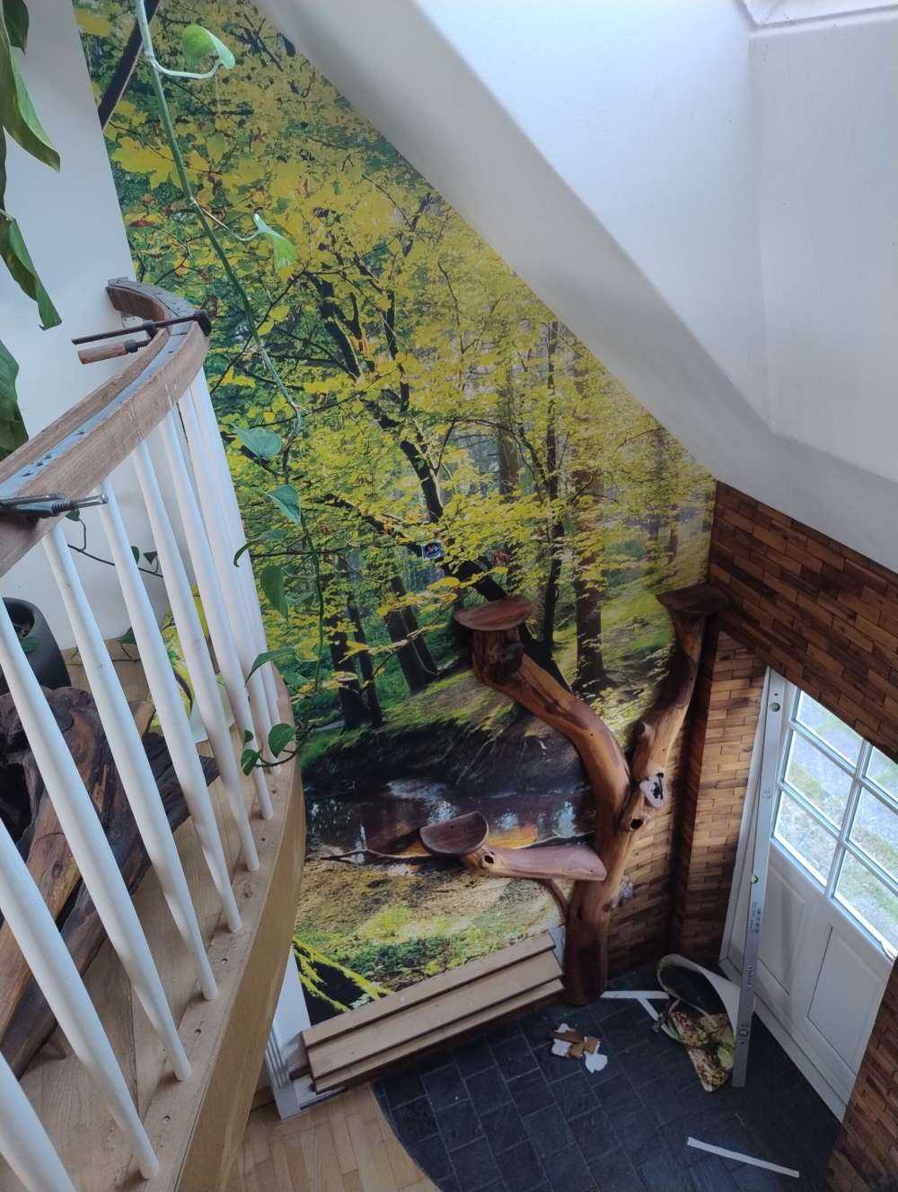 Forêt avec un ruisseau