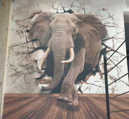 Grand éléphant hors du mur