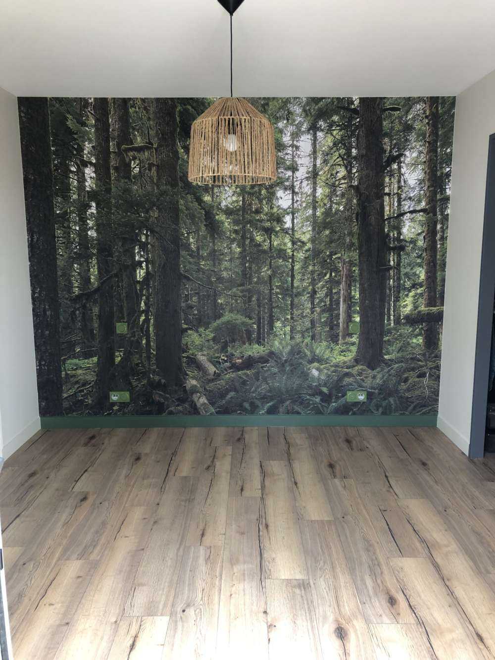 Forêt verte sauvage