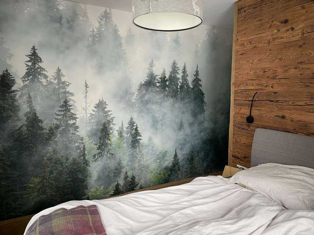 Paysage brumeux avec des arbres verts