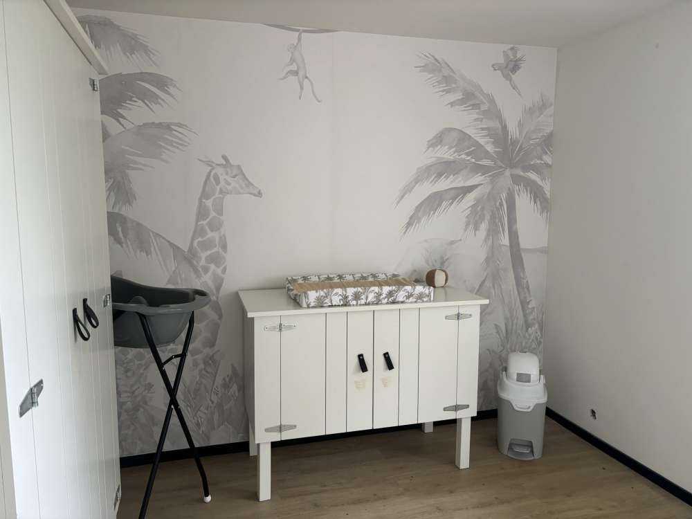 Animaux de la jungle joyeux