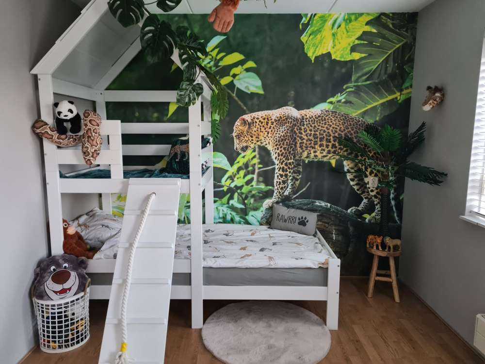 Léopard sur un rocher