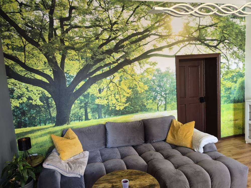 Bel arbre avec de l'herbe verte