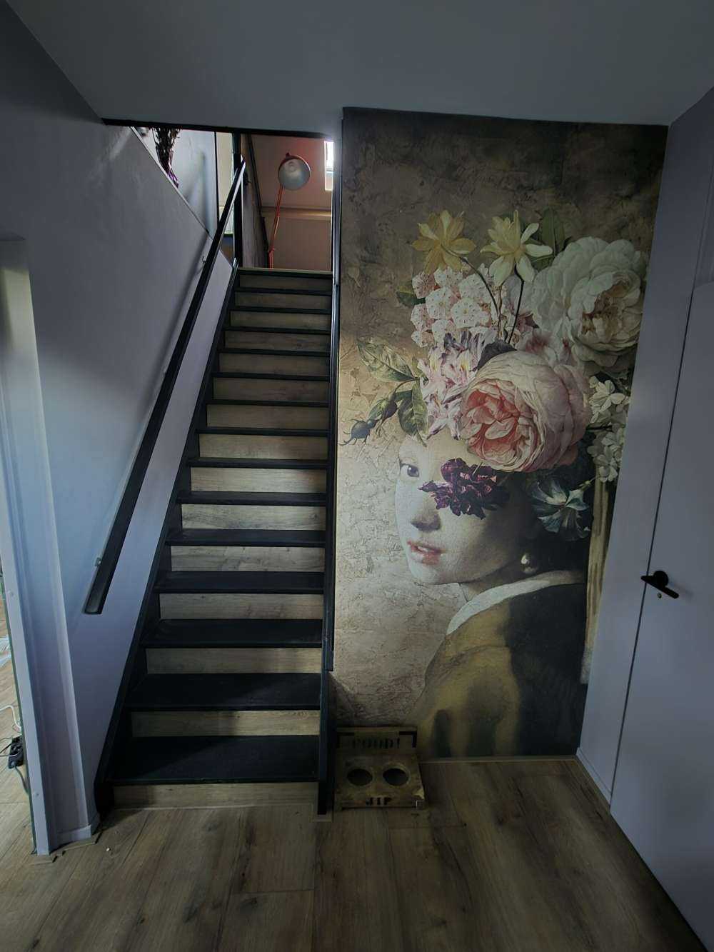 Rivière dans les bois