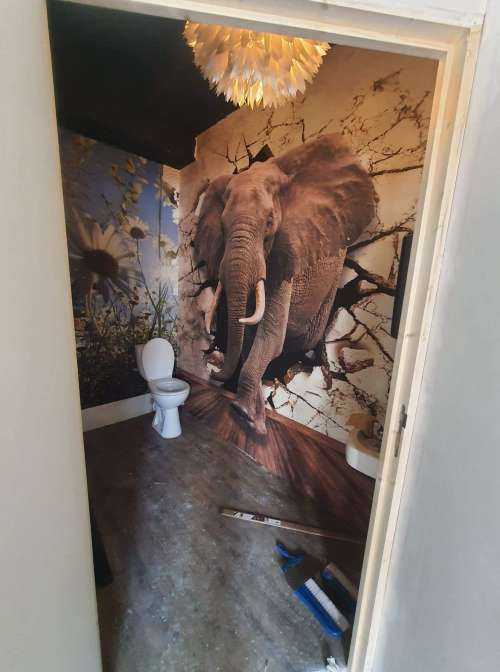 Grand éléphant hors du mur