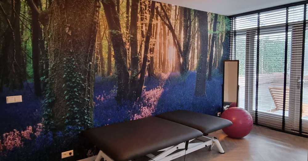 Chemin forestier au lever du soleil