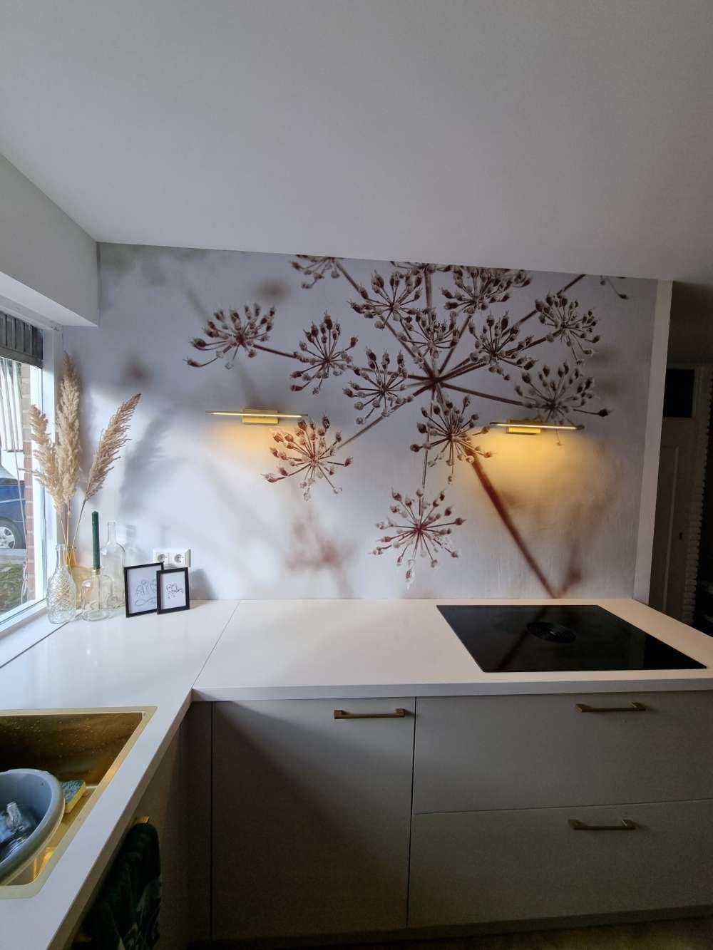 Cerfeuil sauvage en gros plan