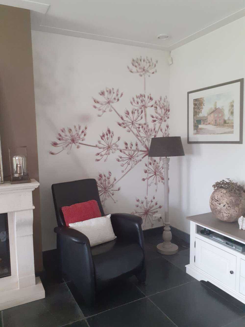 Cerfeuil sauvage en gros plan