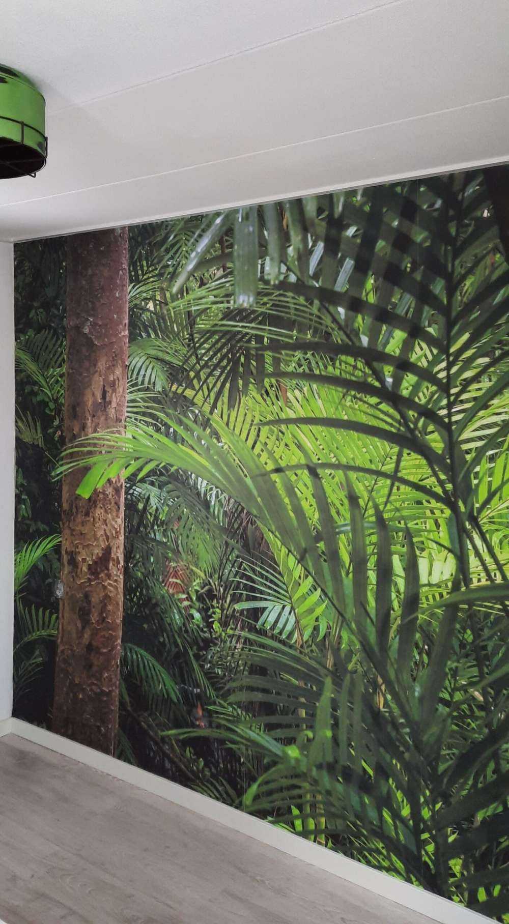 Forêt tropicale humide