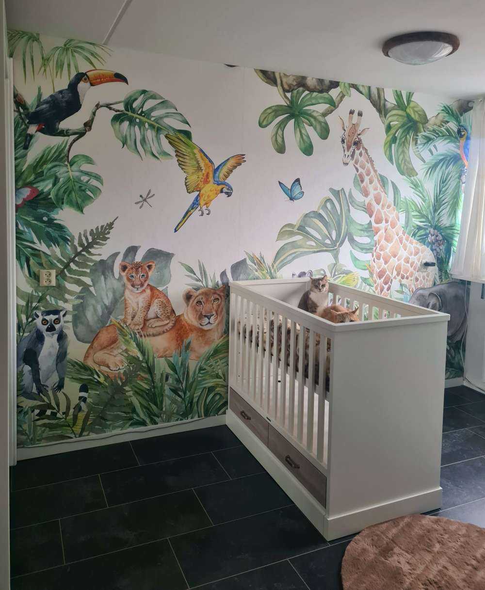 Animaux sauvages de la jungle