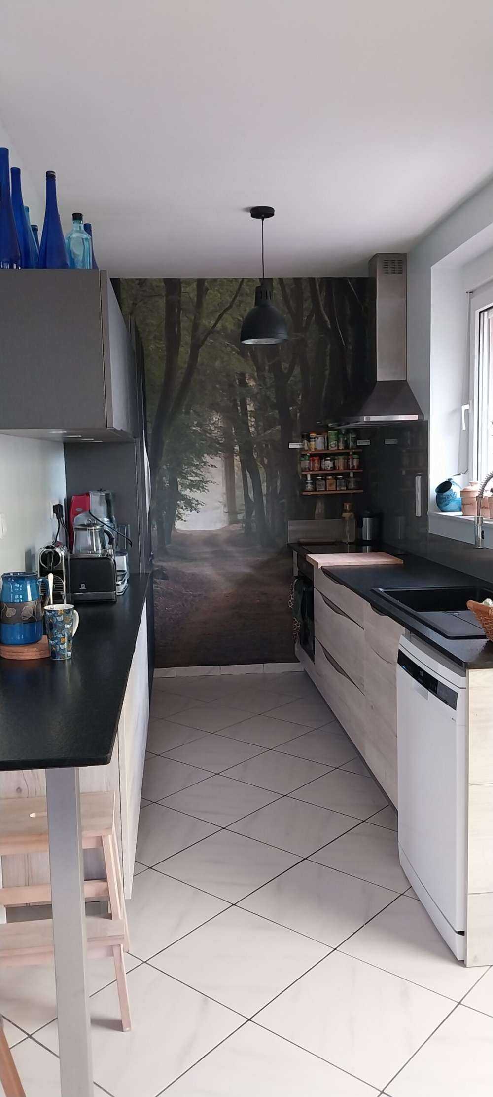 Sentier de sable dans la forêt