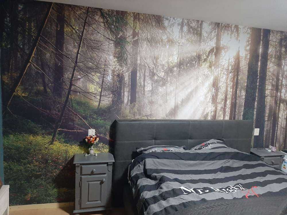 Forêt d'automne ensoleillée