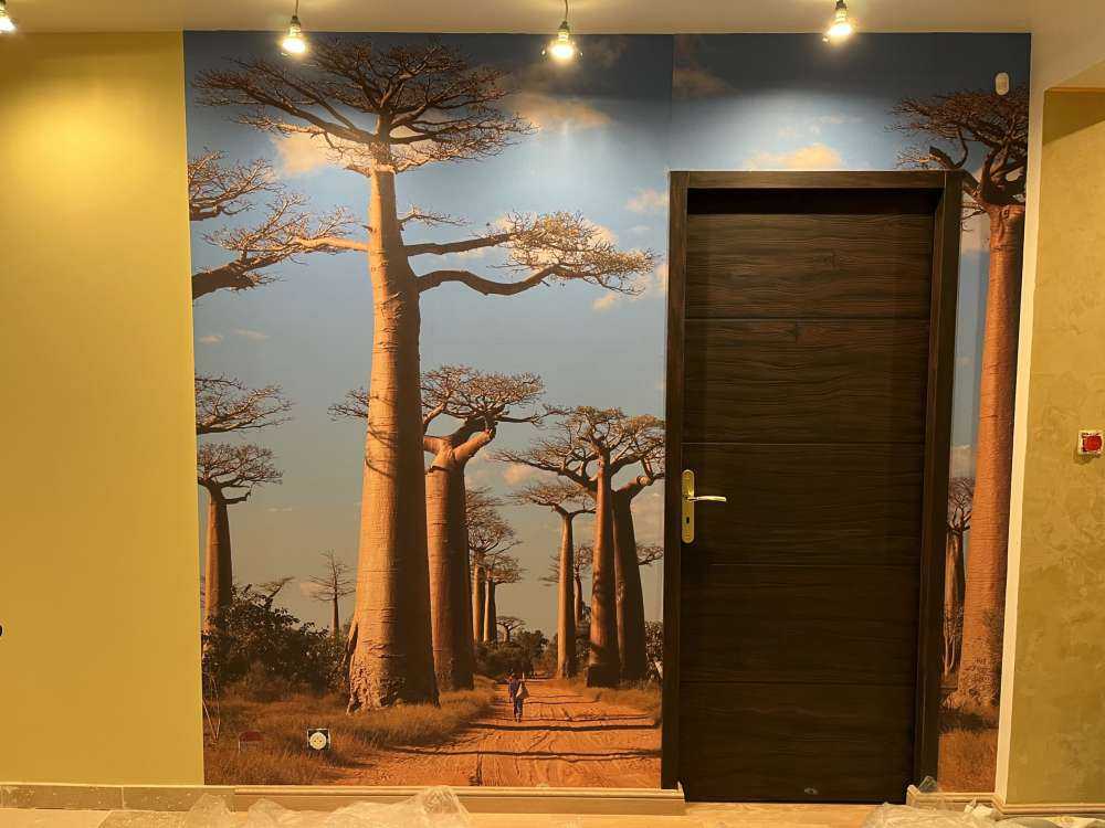 Baobabs