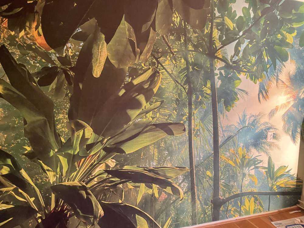 Une jungle mystérieuse